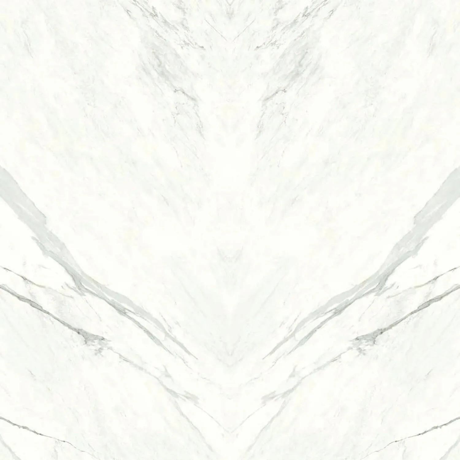 Calacatta White