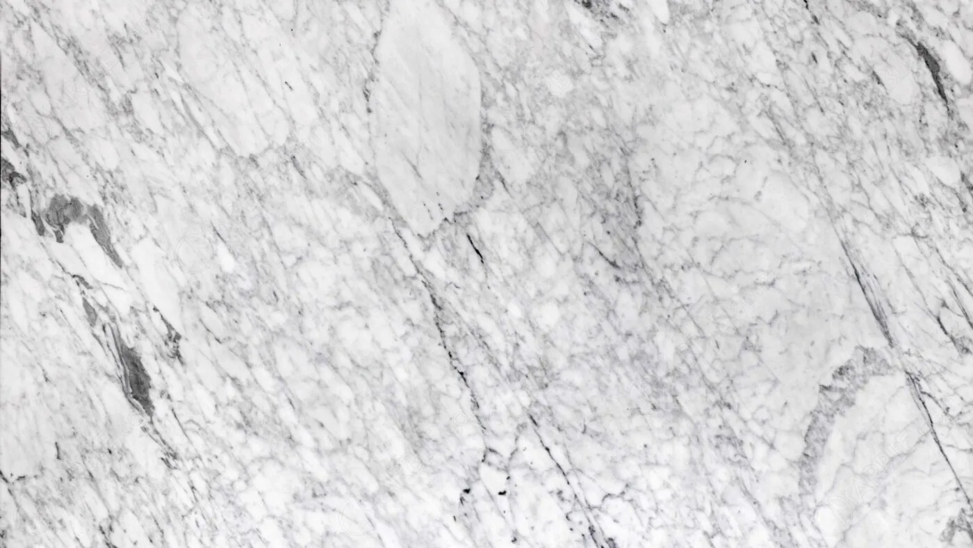 Carrara Venatino