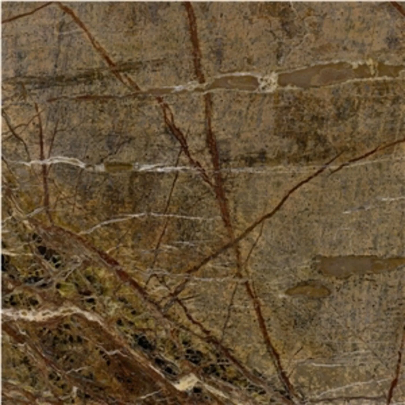 Rainforest Brown