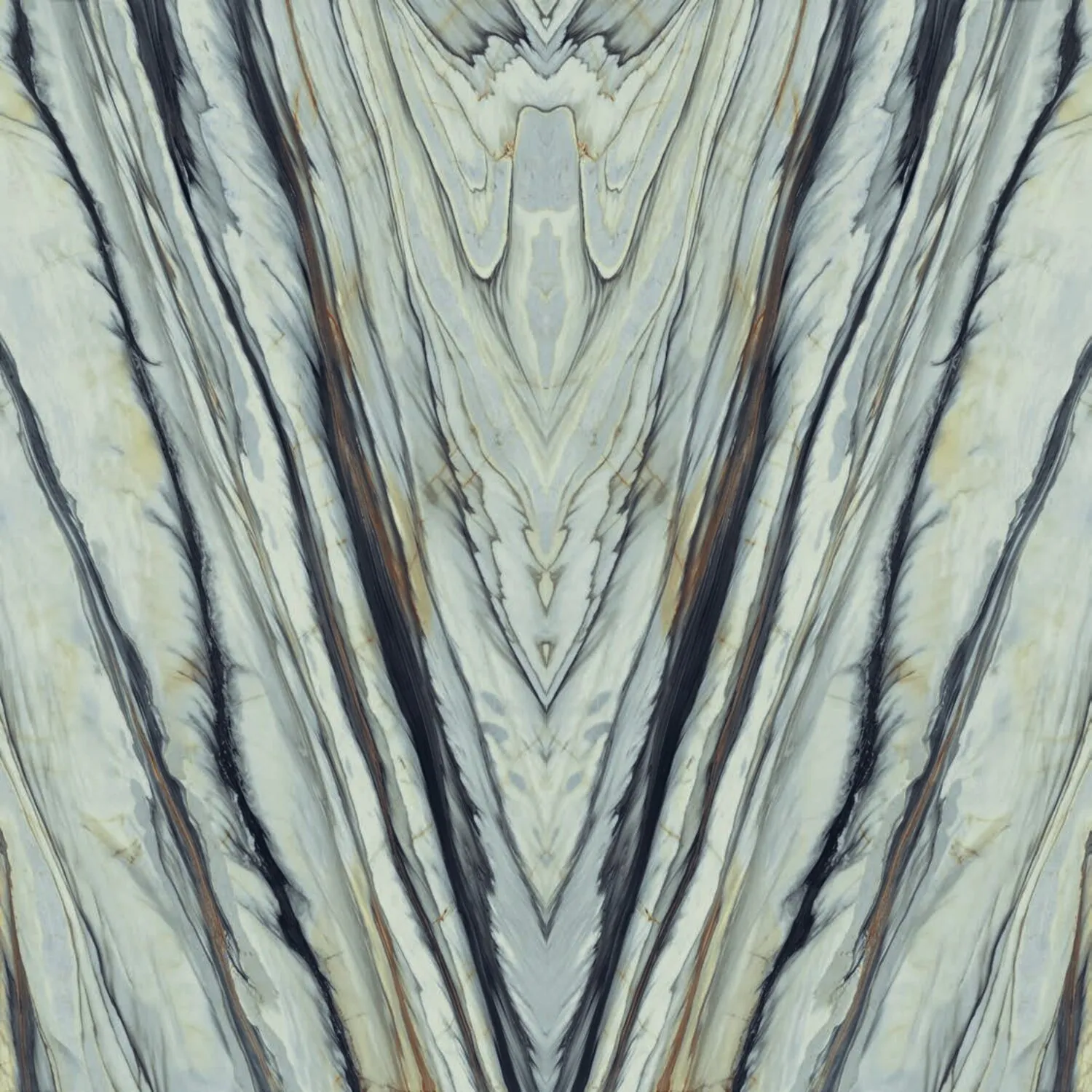 Oyster Wild Forest