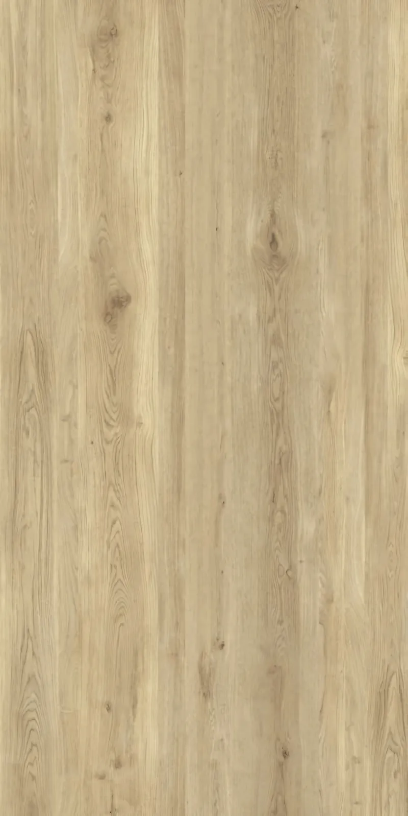 Wood Essence Nut, 포세린 빅슬라브