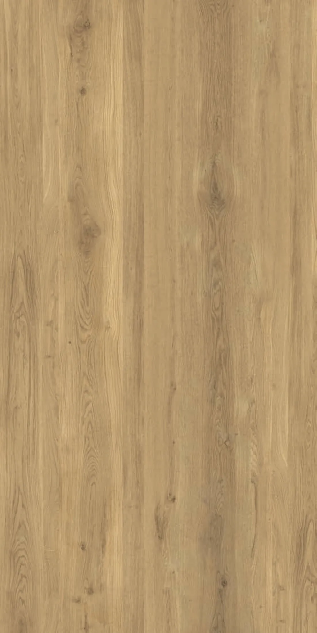Wood Essence Oak