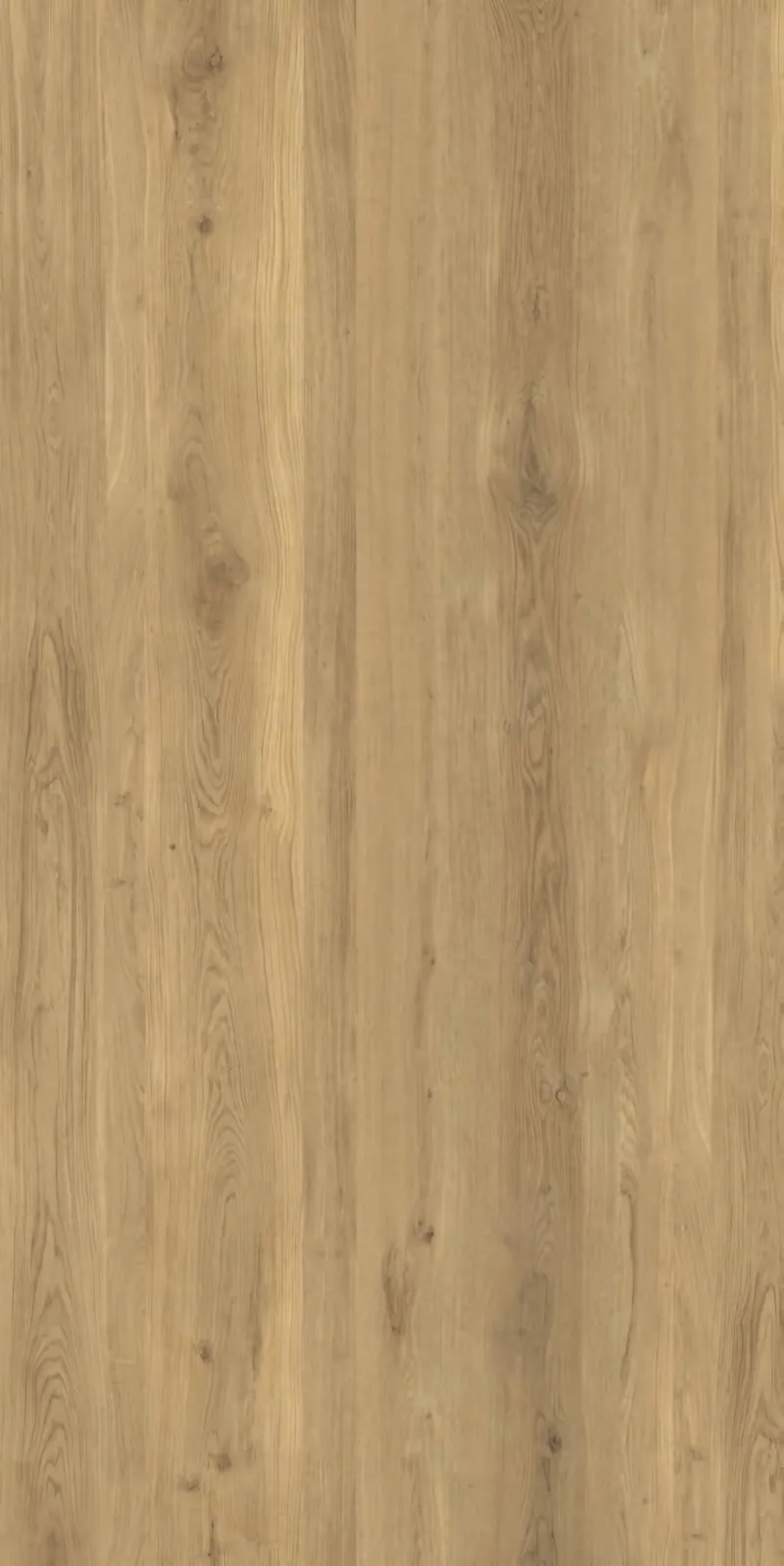 Wood Essence Oak, 포세린 빅슬라브